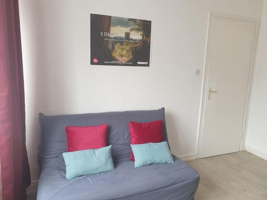 Ferienwohnung Le Nid Des Cigognes A Colmar Centre, Proche Gare, Marches De Noel Exterior foto